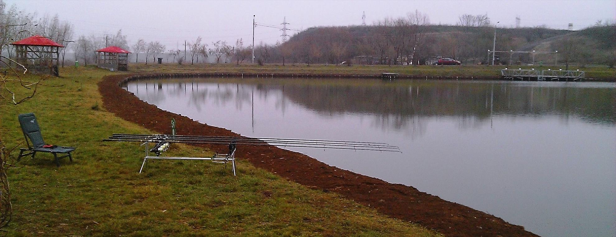 Floarea Popestiului 30 - 30 dec. - wp20131230017.jpg